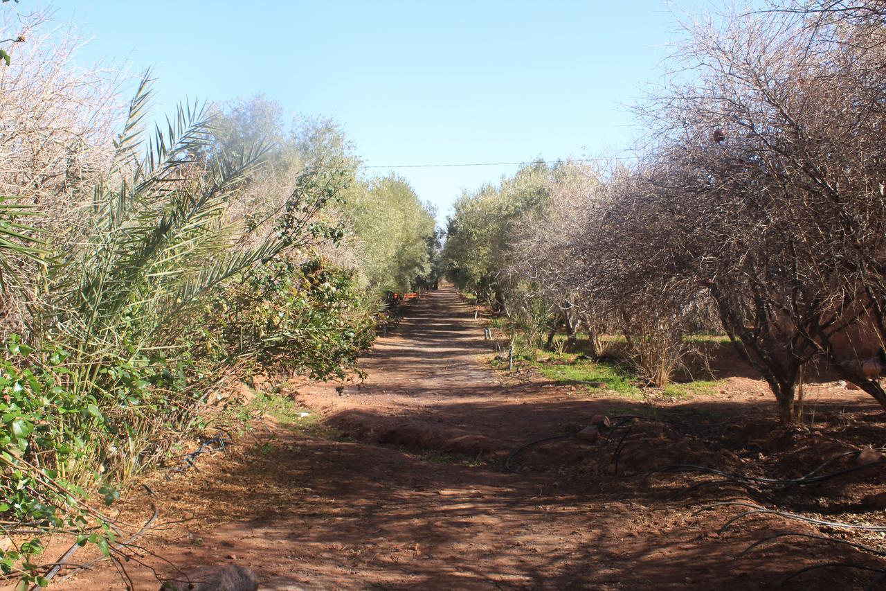 Dar Alfourssane Ferme D'Hote Ouarzazate Exterior photo